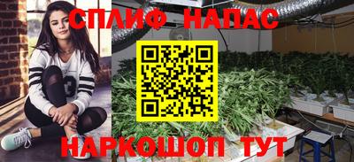 гидропоника Малоярославец