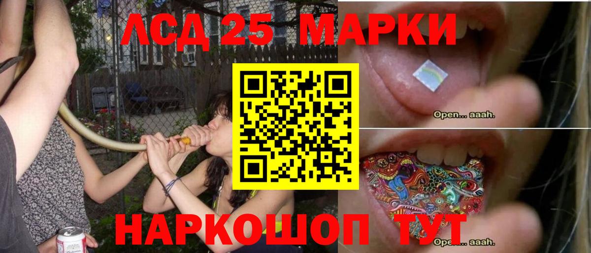 APVP Губкин