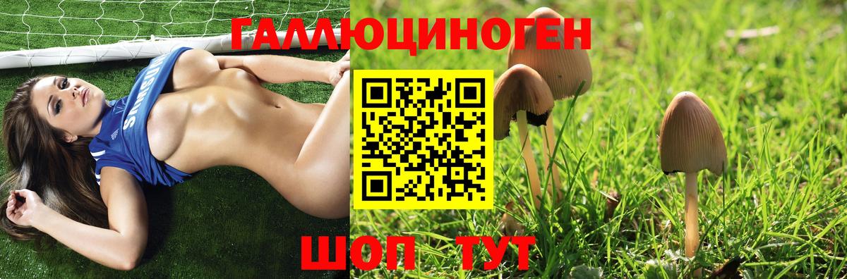 Псилоцибиновые грибы GOLDEN TEACHER Губкин